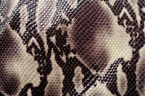 Texture de peau de serpent la texture animale la plus courante