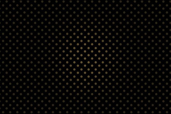 Petites marguerites sur fond noir