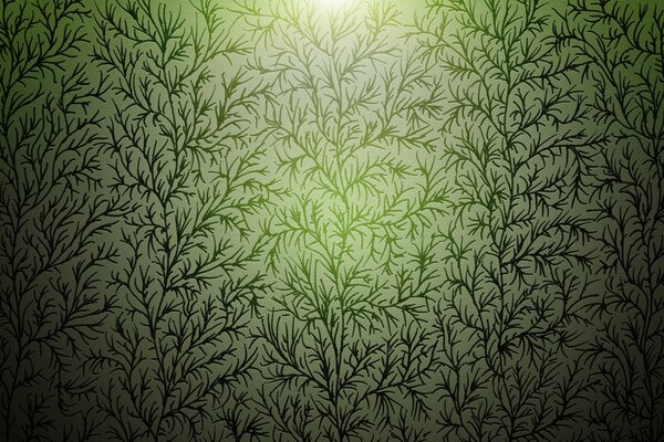 Fond avec des plantes vertes sur blanc