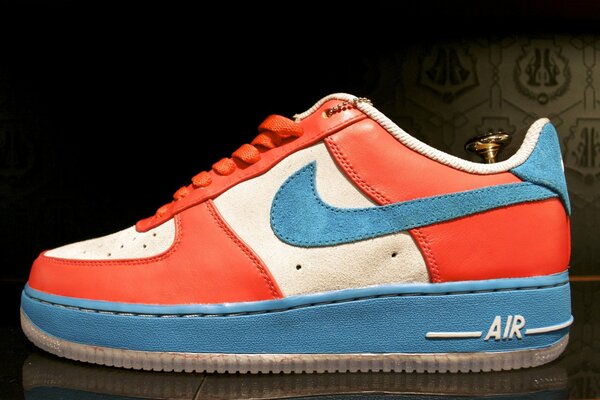 Baskets Nike rouge et bleu photo
