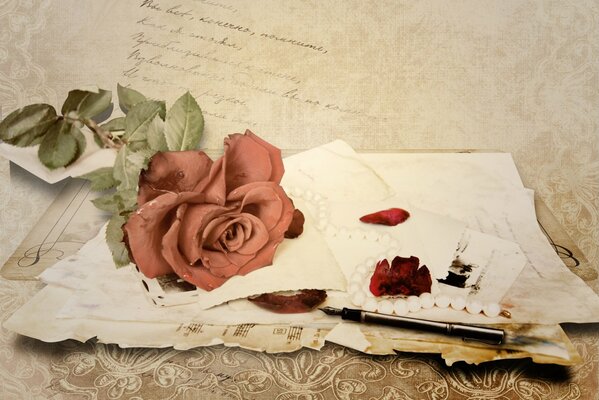 Rose se trouve sur l écriture et les notes