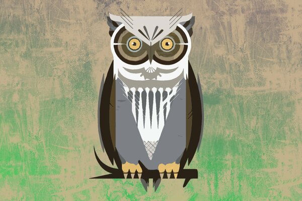 Papier peint oiseau hibou sur une branche