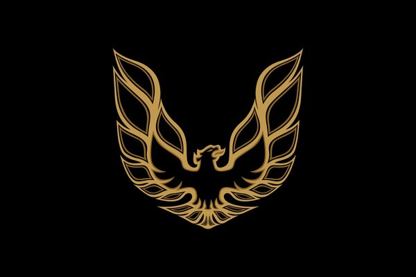 Dessin jaune de silhouette de Phoenix sur fond noir