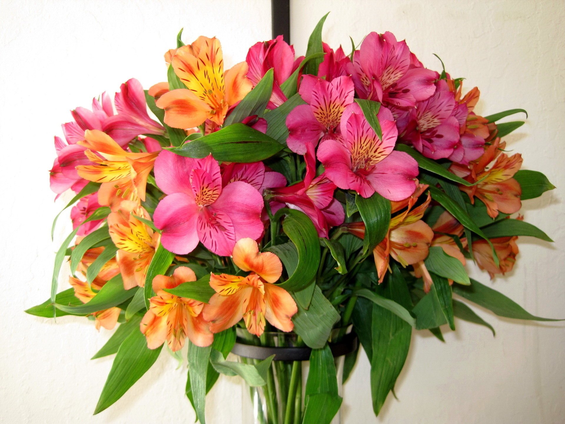 alstremeria nature bouquet fleurs fleur