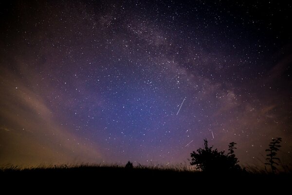 Clairière dans la nuit sur fond de Cosmos