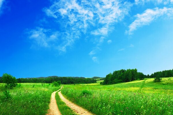 Route, champ et ciel clair