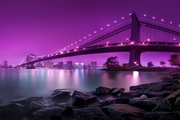 Le pont de Brooklyn de Manhattan dansla lumière violette des lanternes