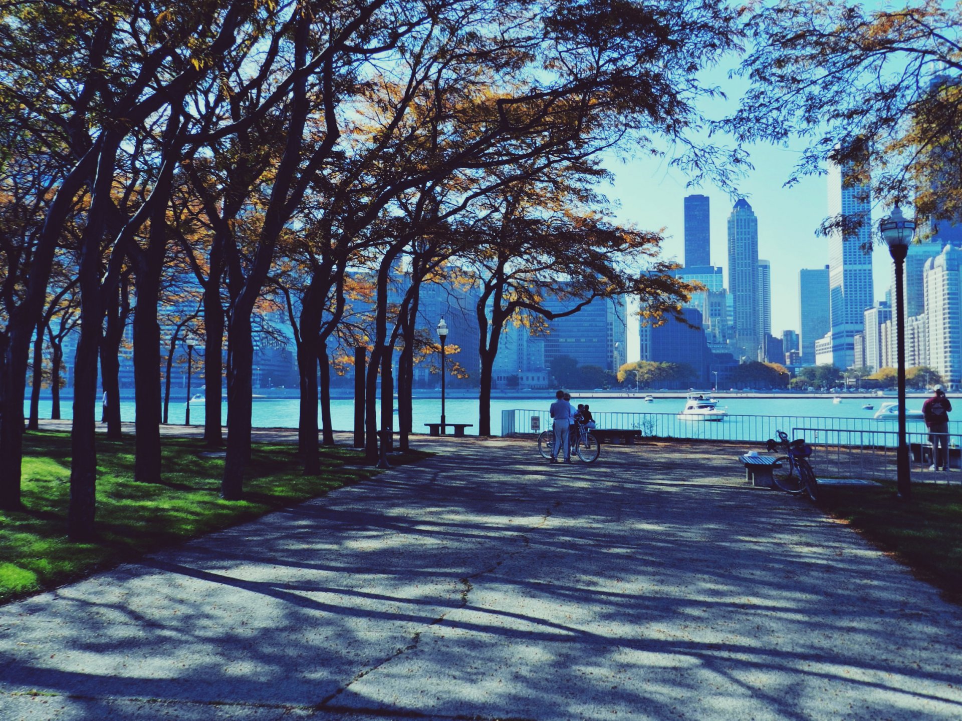chicago gratte-ciel parc gens automne