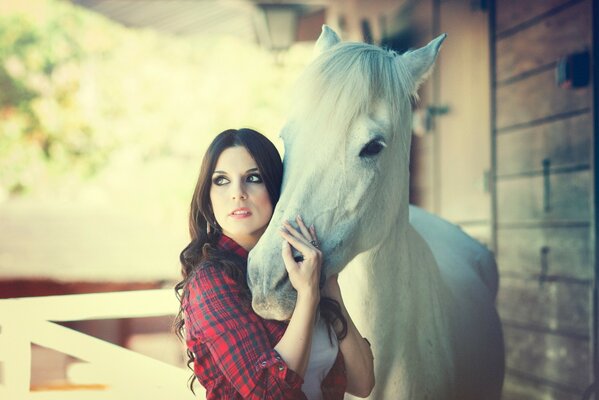 Fille tenant le museau d un cheval blanc