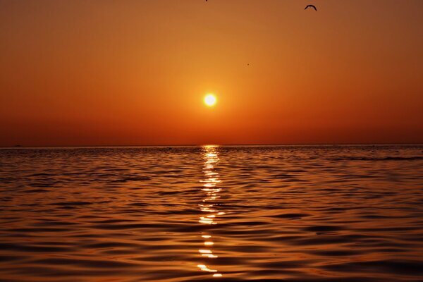 Beau coucher de soleil en vacances
