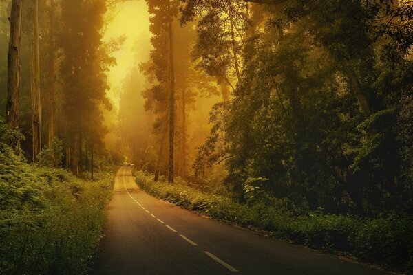 Photographie de la route dans les tons chauds