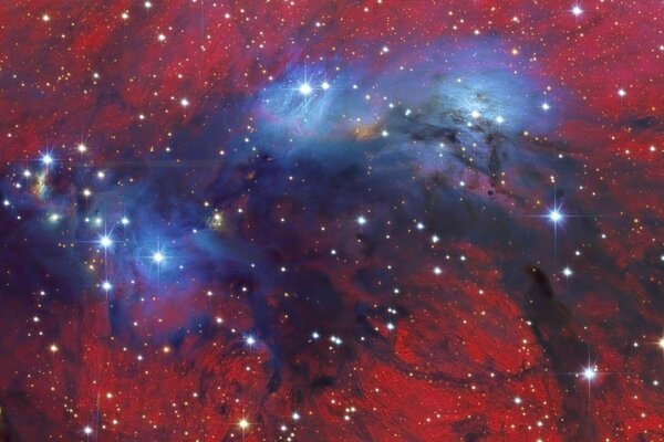 Espace belle vue sur la Constellation du cygne