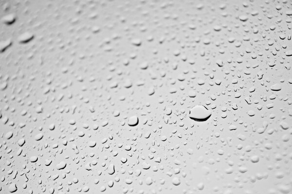 Gouttes d eau sur fond gris clair