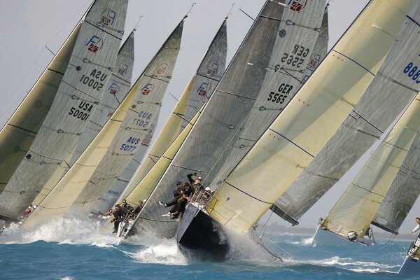 Vue sportive sur les courses