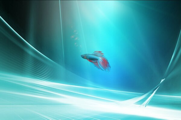 Poisson coq dans l espace bleu