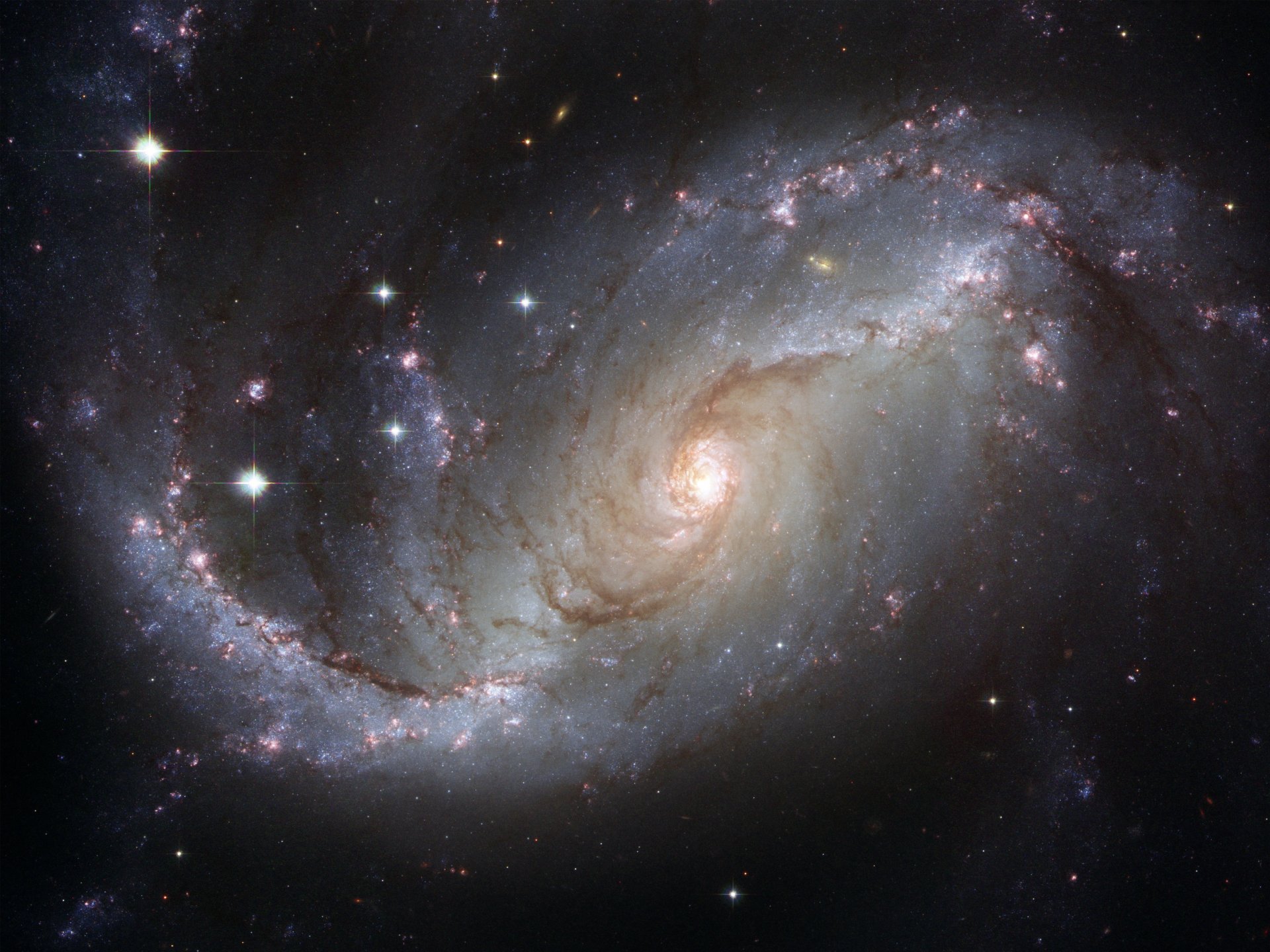 ngc 1672 galaxie constellation poisson rouge