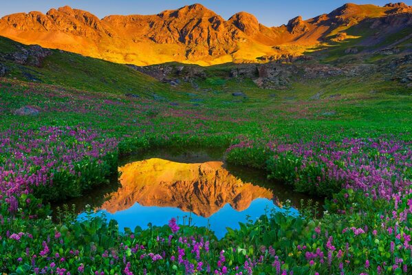 Impressionnant-la nature fascinante du Colorado