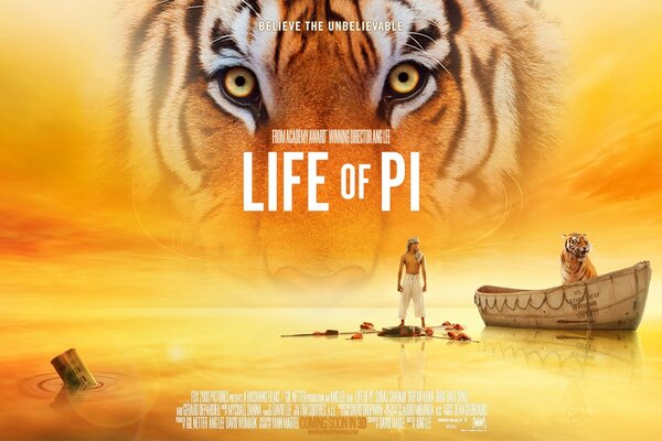Affiche du film la vie de PI