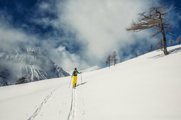 Skieur au sommet de la montagne