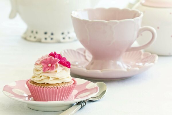 Gâteau sur une soucoupe, dessert, gâteau à la crème