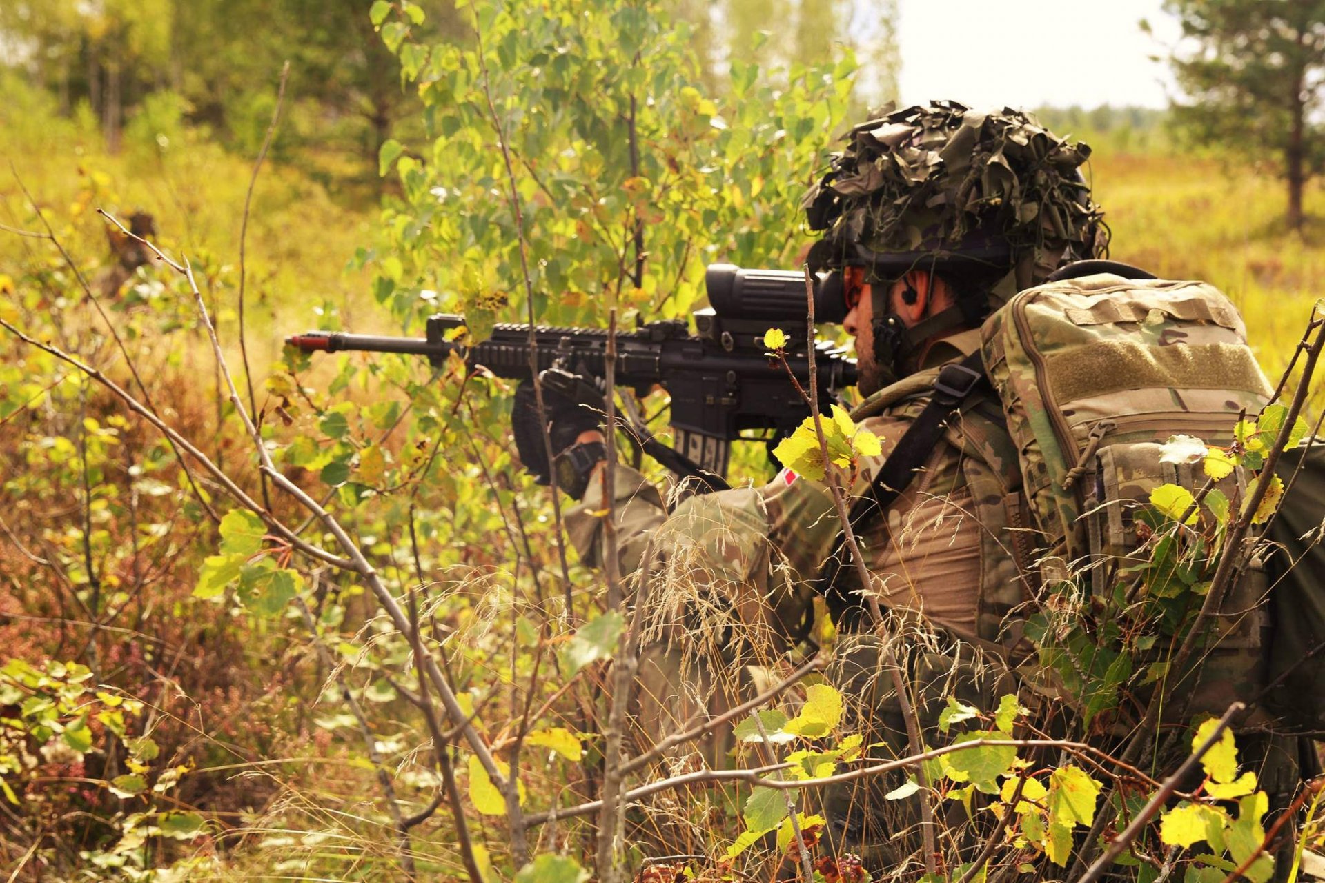 armée danoise soldat armes