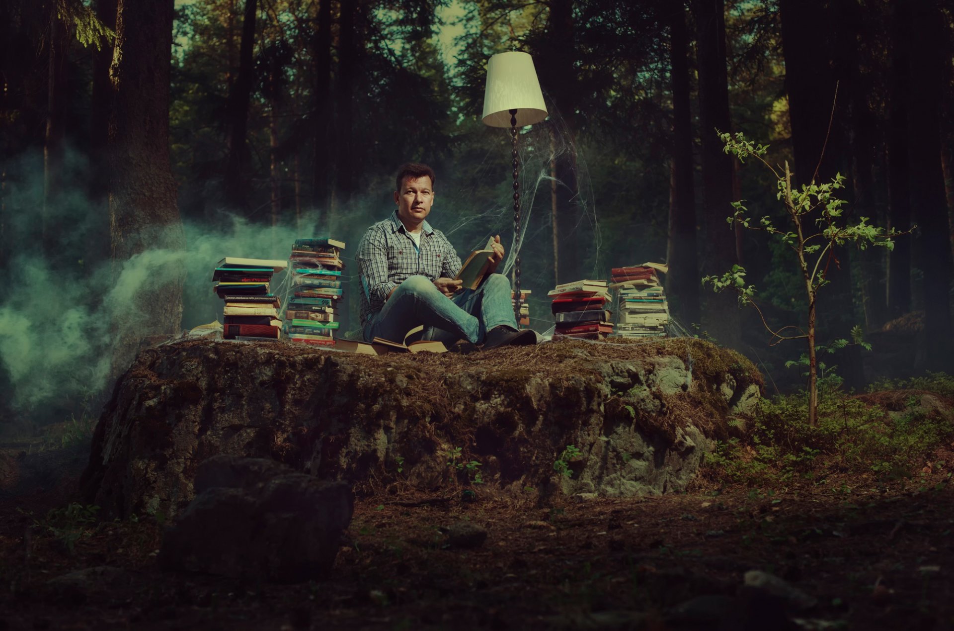 livres lampe toile d araignée forêt libraire lecture