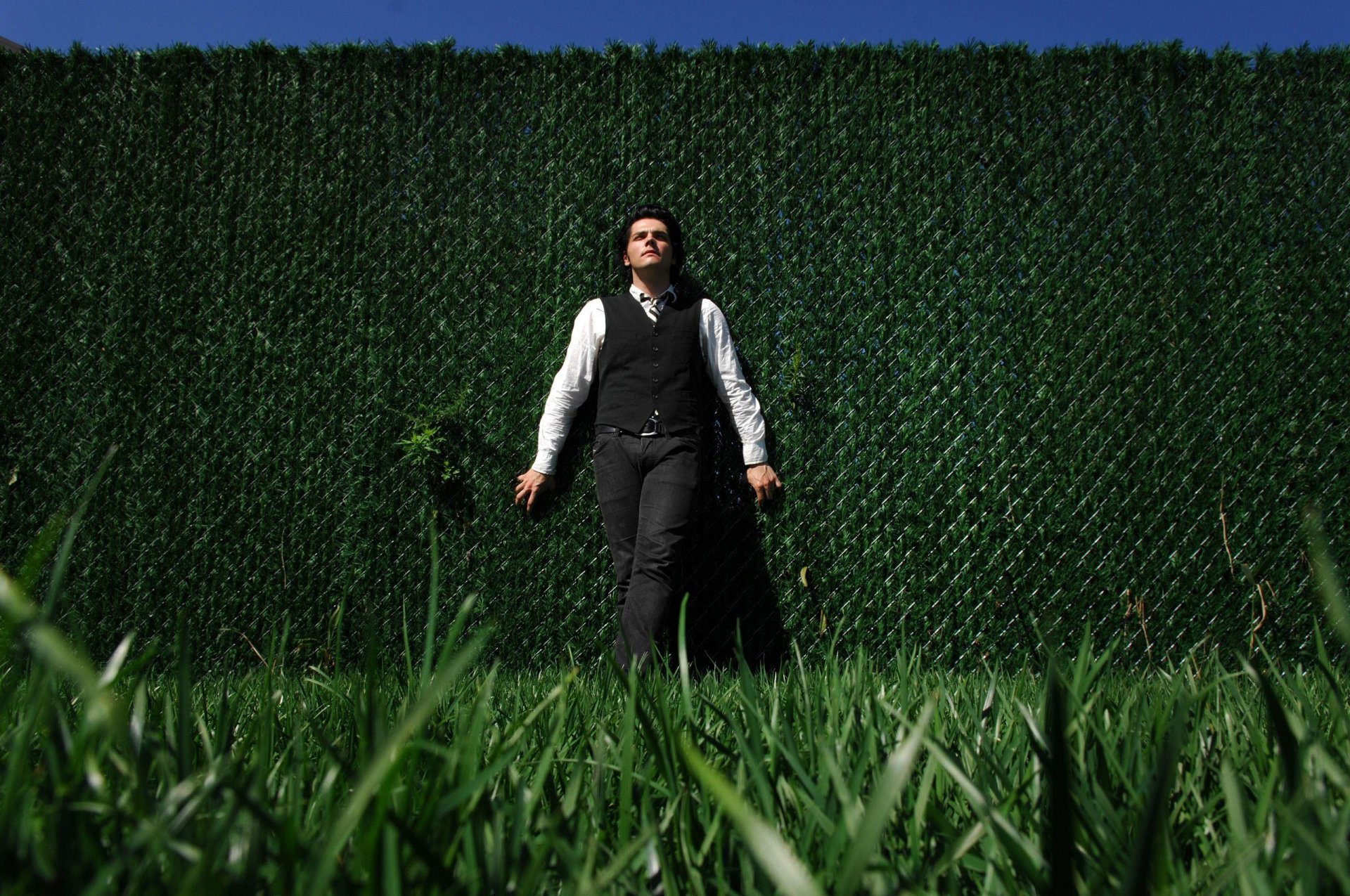 my chemical romance gerard way herbe verdure mur