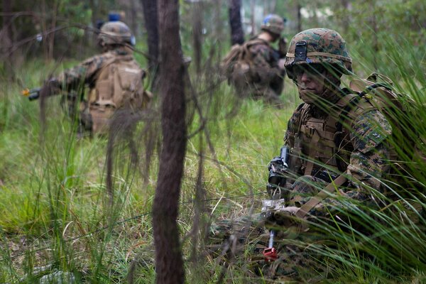 US marine corps dans la forêt