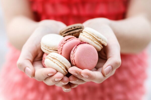 Biscuits vaut 2 PCs 400rubles x