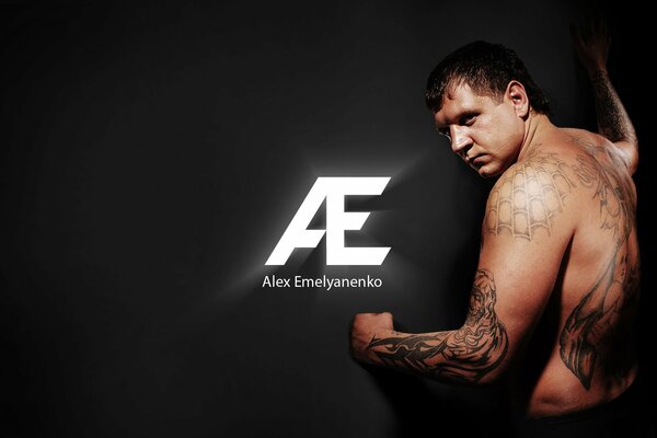 Alexander Emelianenko en arts martiaux mixtes