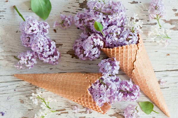 Corne de gaufre avec des fleurs de lilas