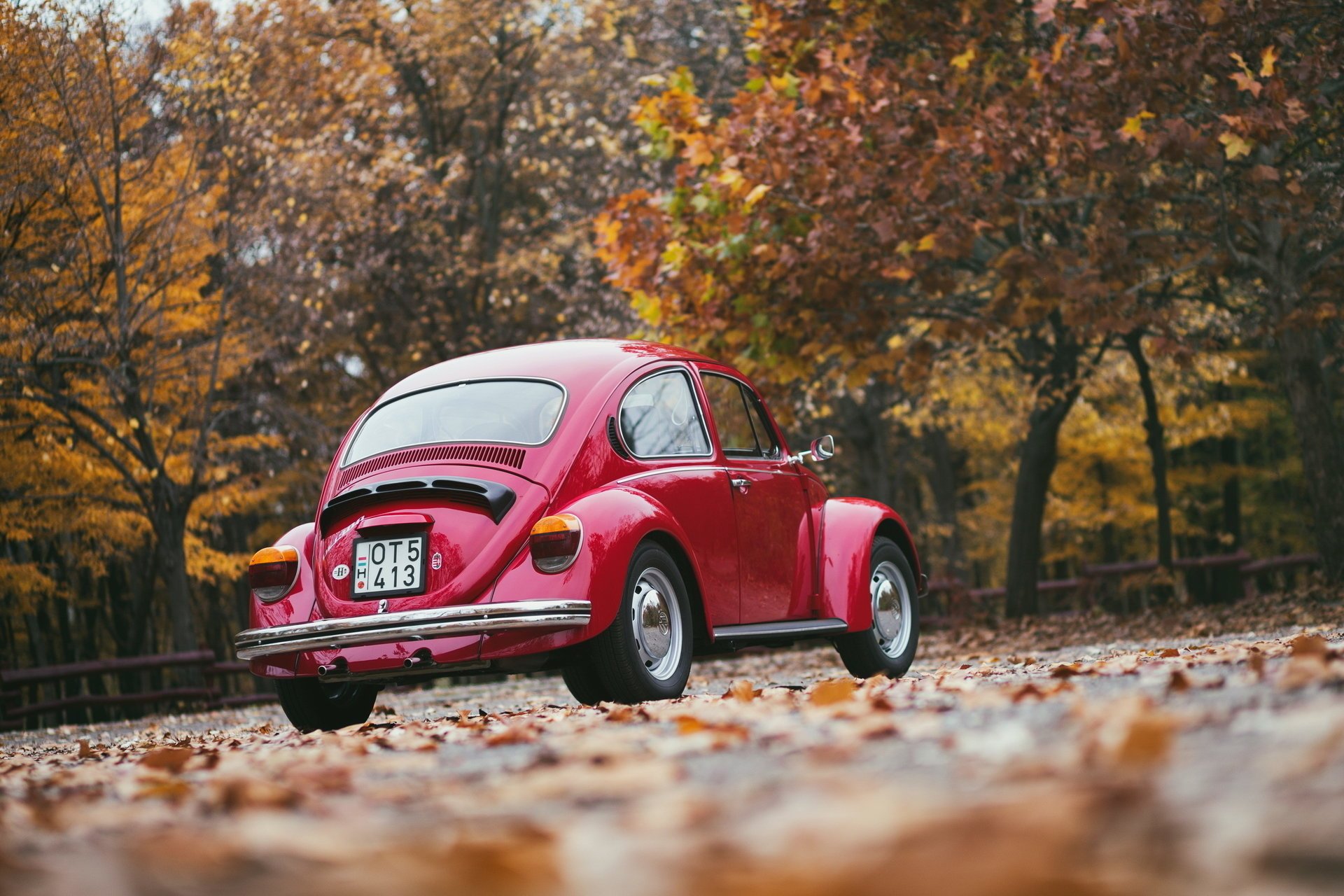volkswagen rétro automne rouge arrière feuilles