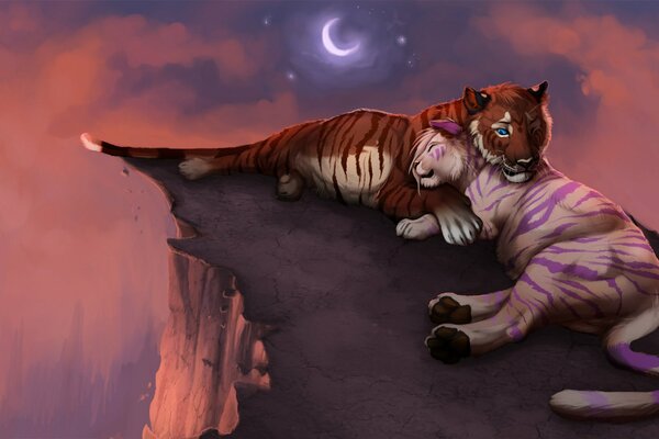 La romance de l amour des tigres