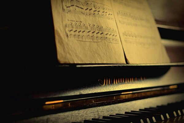 Photo de style macro: notes de piano au crépuscule