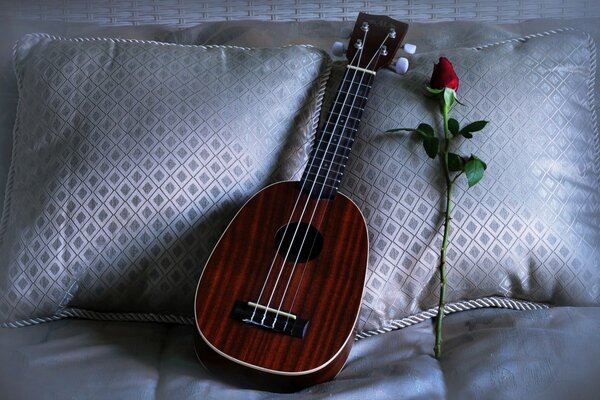 Sur l oreiller se trouve un ukulélé et une rose