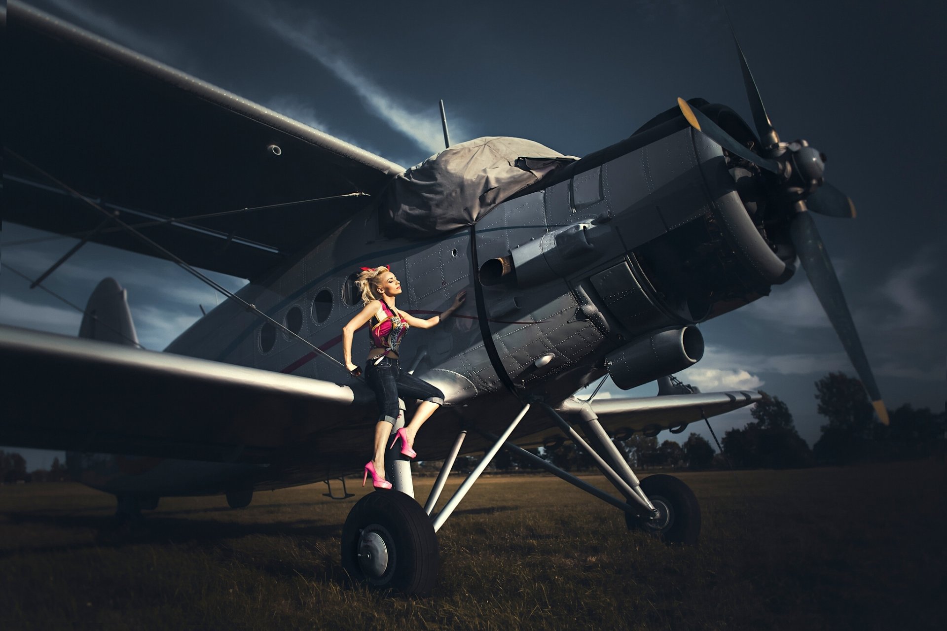 modèle pose avion biplan