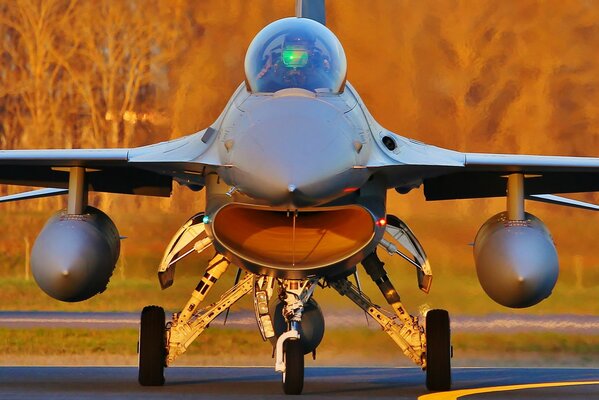 Se dresse sur la route du jeu de combat Falcon