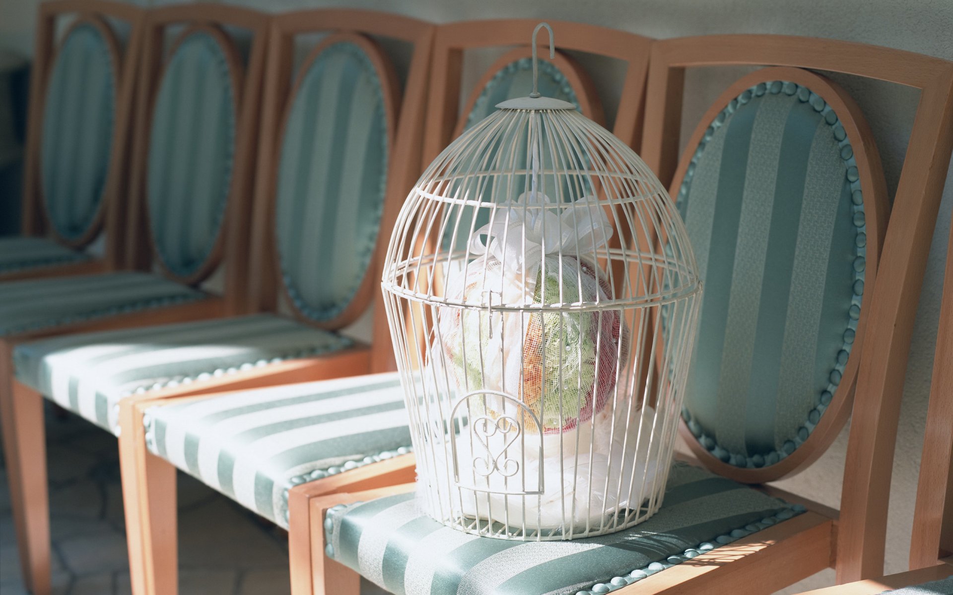 vacances mariage cage bouquet fleurs fleurs arc arc ruban chaises chaises fond d écran