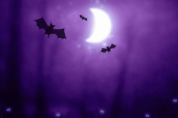 Chauves-souris à la lumière de la lune