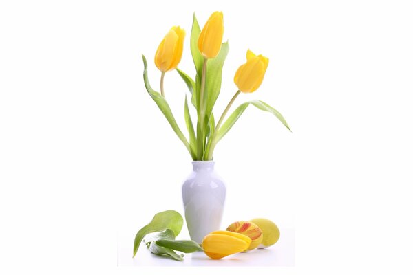 Tulipes jaunes délicates dans un vase blanc