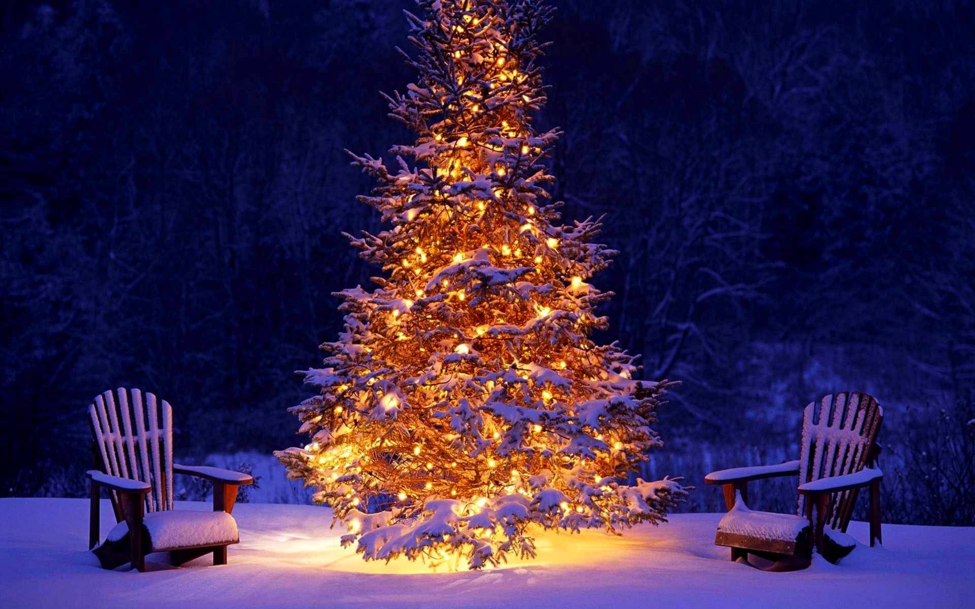hiver vacances neige forêt arbre de noël lanternes bonne année noël hiver arbre de noël lumières nouvel an vacances
