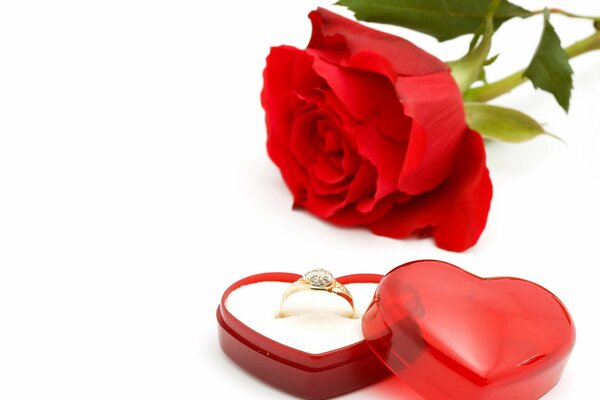 Offre de main et de coeur rose avec anneau