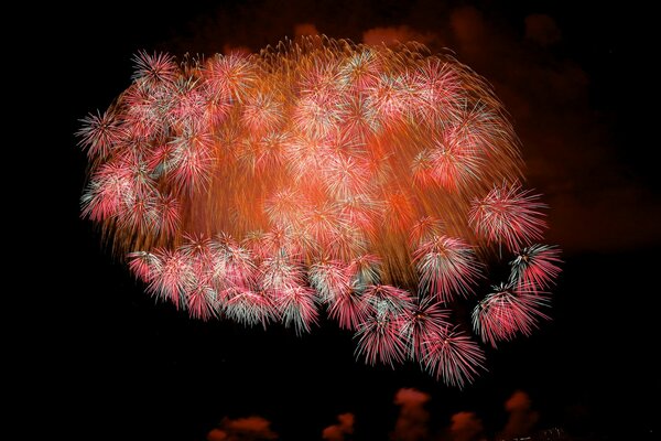 Feux d artifice colorés sur fond noir