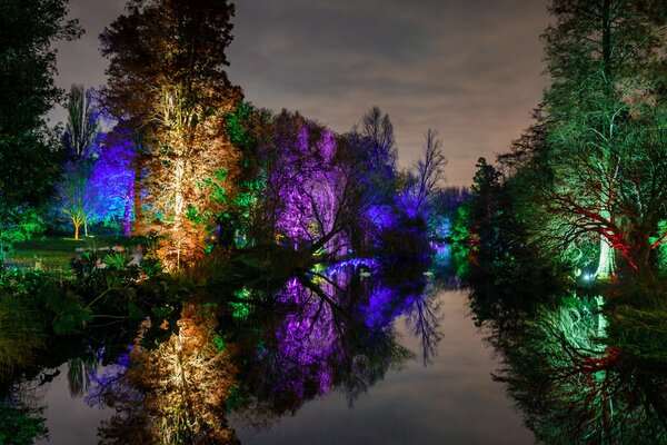 Nuit dans le parc. Les arbres brillent. Bel étang dans le parc