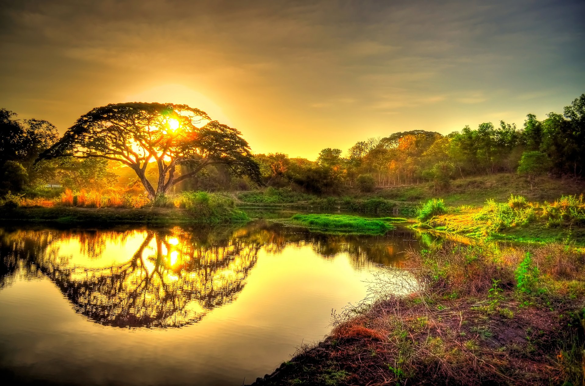 ciel coucher de soleil soleil arbre forêt étang réflexion