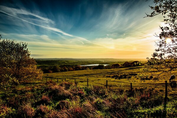 Horizons sans fin de l Angleterre sur fond de ciel et de champ