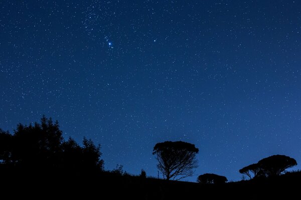 Vue du ciel nocturne avec des étoiles en Italie