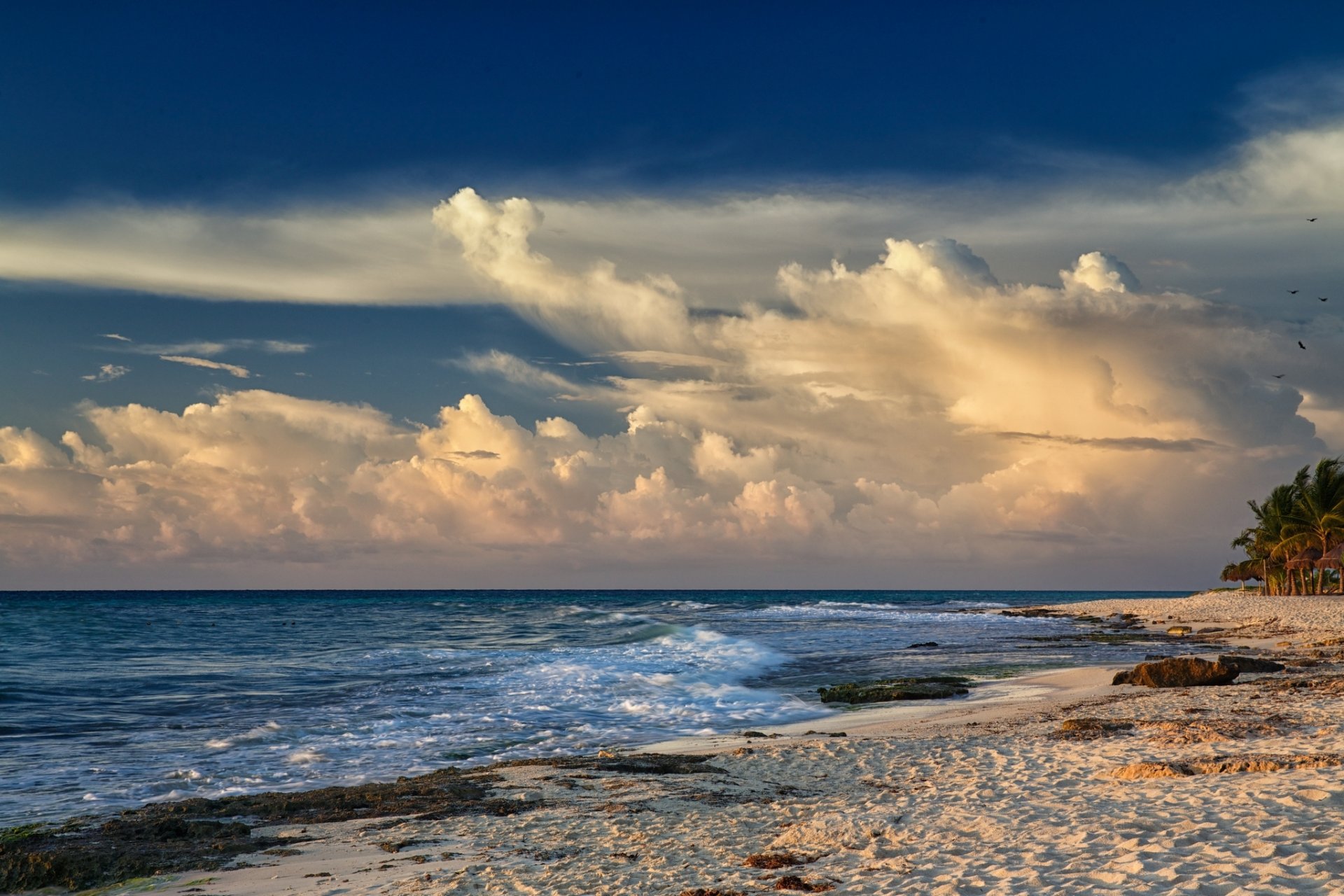 mer plage sable palmiers vent vagues nuages