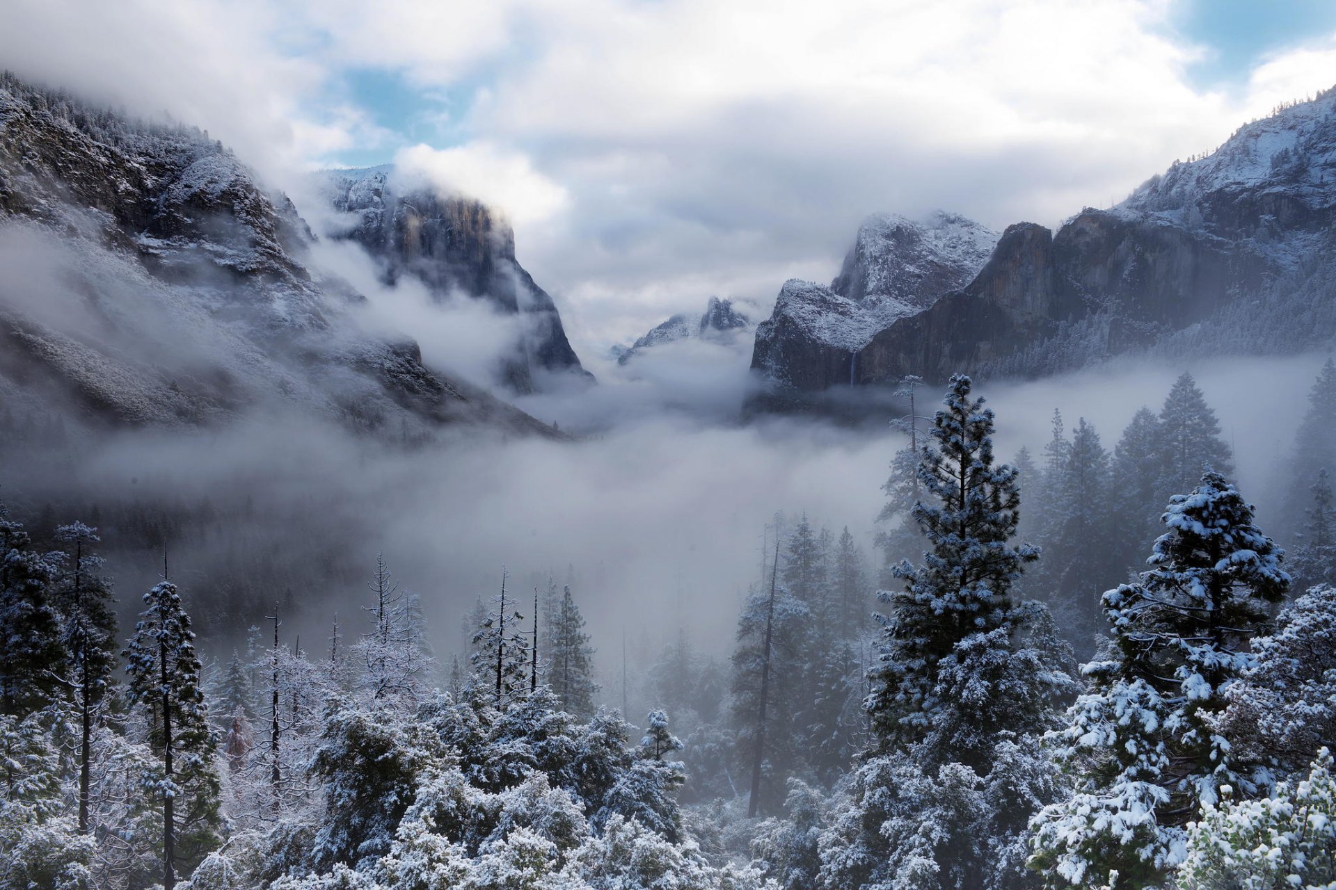 parc national de yosemite états-unis californie yosemite arbres montagnes forêt hiver neige nuages brouillard nature
