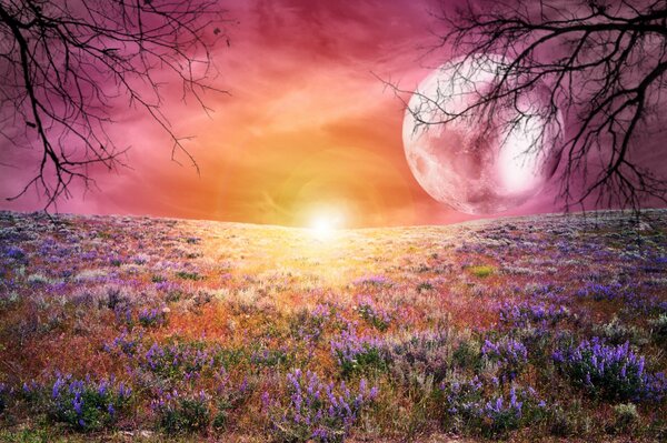 Luminosité des couleurs d un coucher de soleil fabuleux